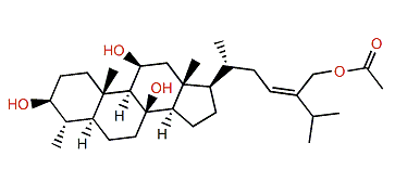 Nebrosteroid G